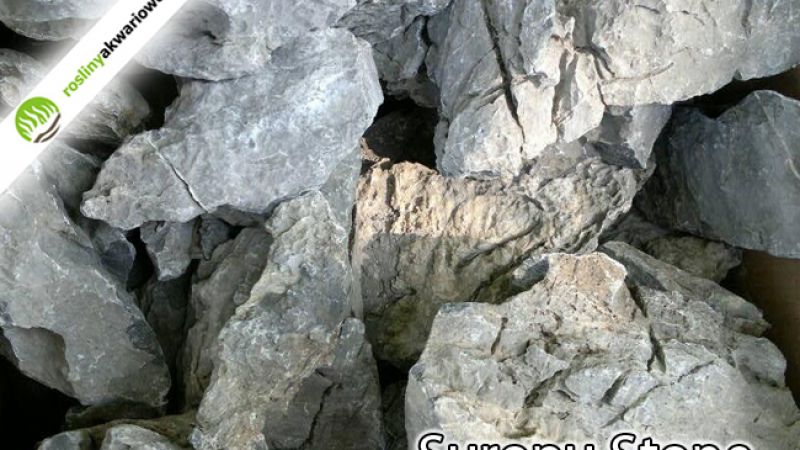 Nowa dostawa Suropu Stone