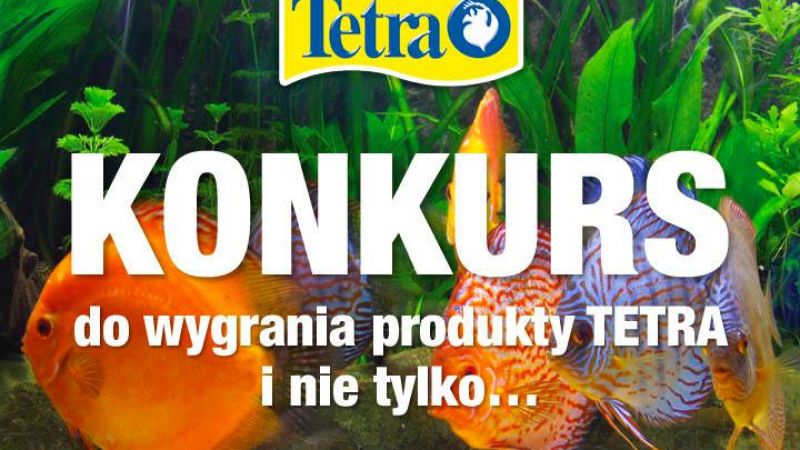 Mini konkurs Tetra