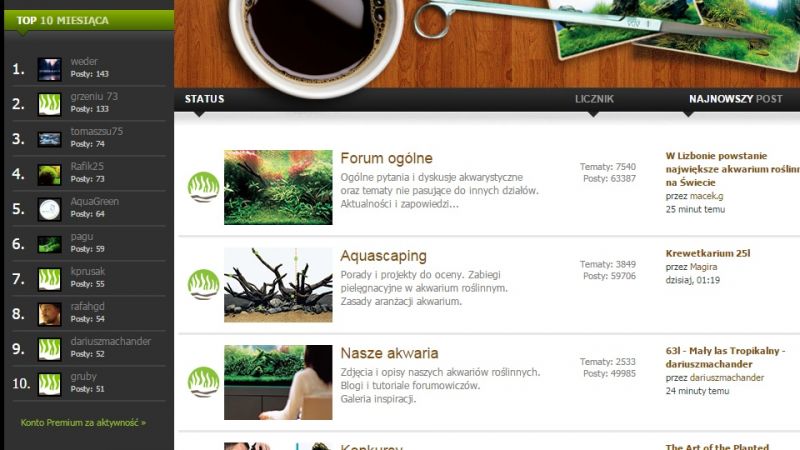 Nowa funkcjonalność: TOP 10 miesiąca