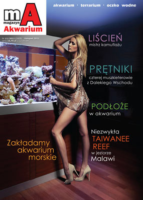 Nowe wydania prasy akwarystycznej