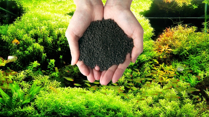 Podłoże H.E.L.P Advanced Soil pogromcą granulatów?