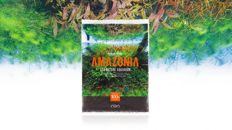Amazonia a problemy z potasem