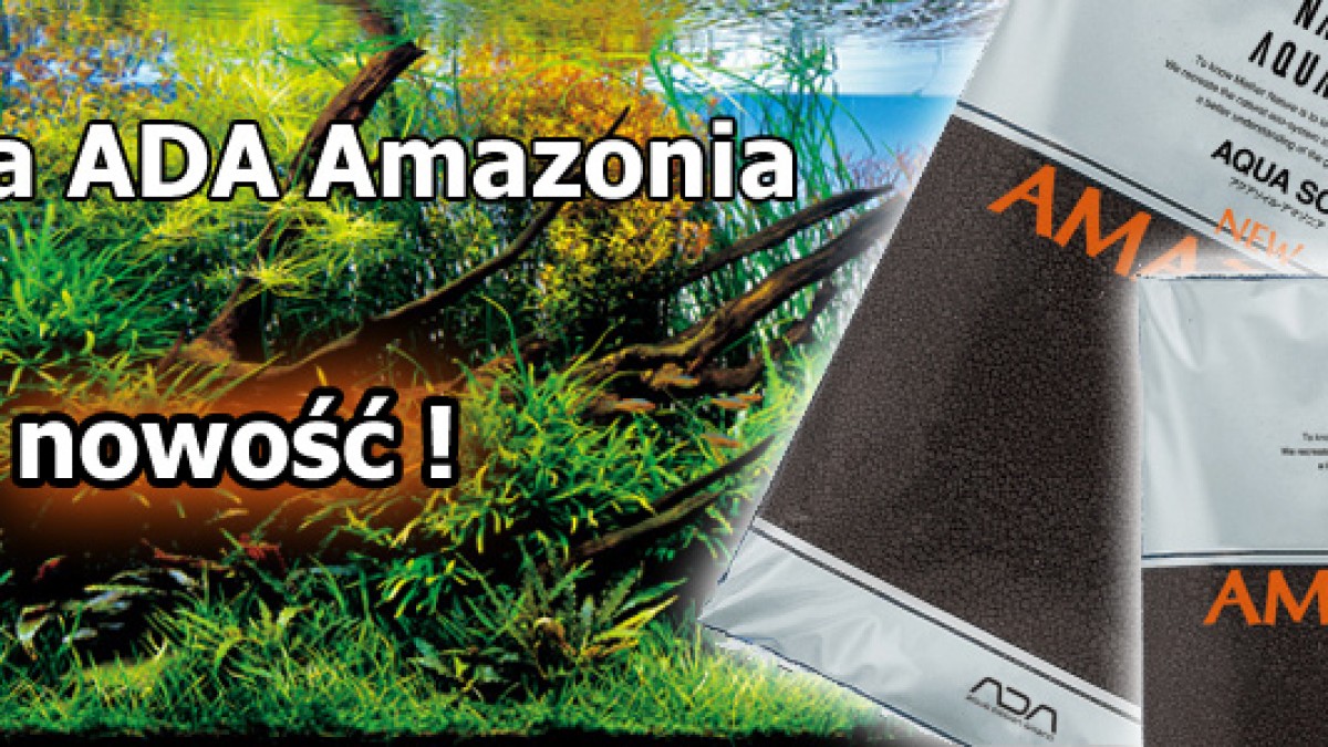 ADA Amazonia NEW już w sprzedaży!