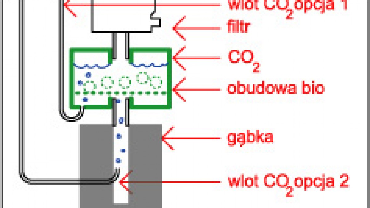 Efektywne metody rozpuszczania dwutlenku węgla w wodzie