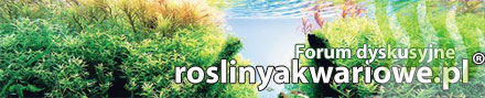 Banery Serwisu roslinyakwariowe.pl