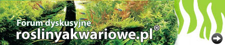Banery Serwisu roslinyakwariowe.pl