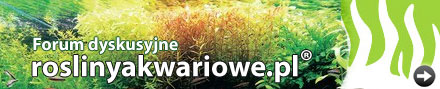 Banery Serwisu roslinyakwariowe.pl