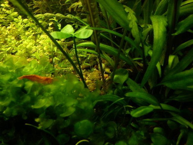009.JPG