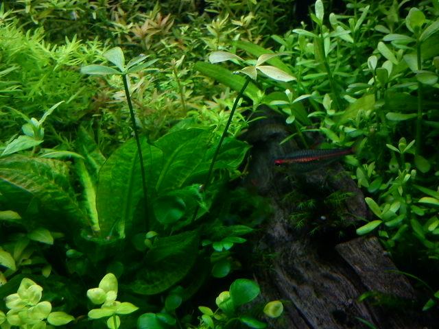019.JPG