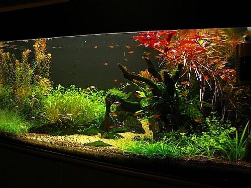 02-11-2010.jpg