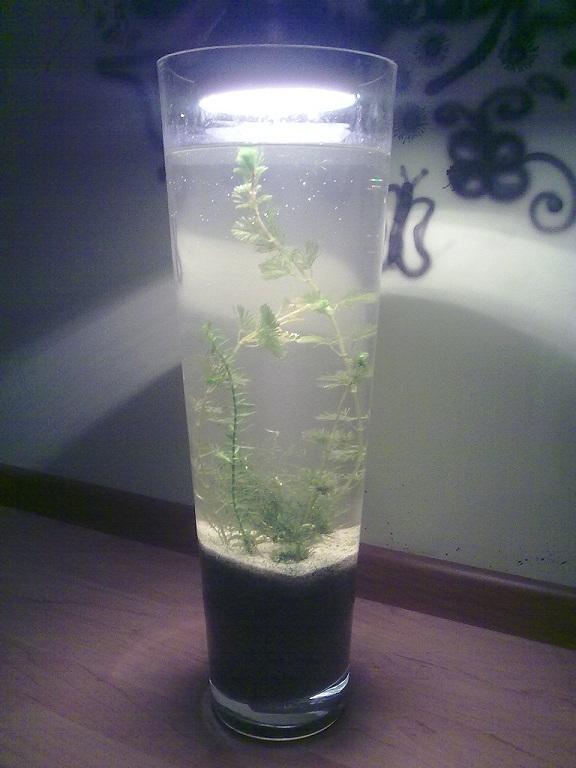 06052011182.jpg