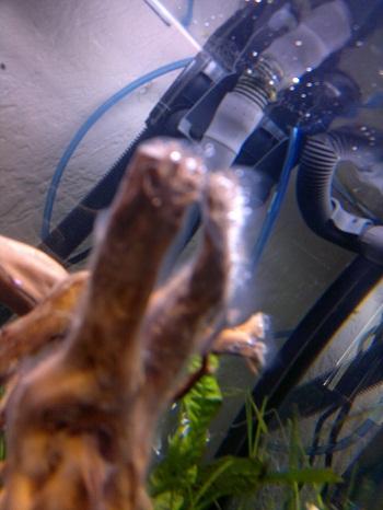 07062011244.jpg