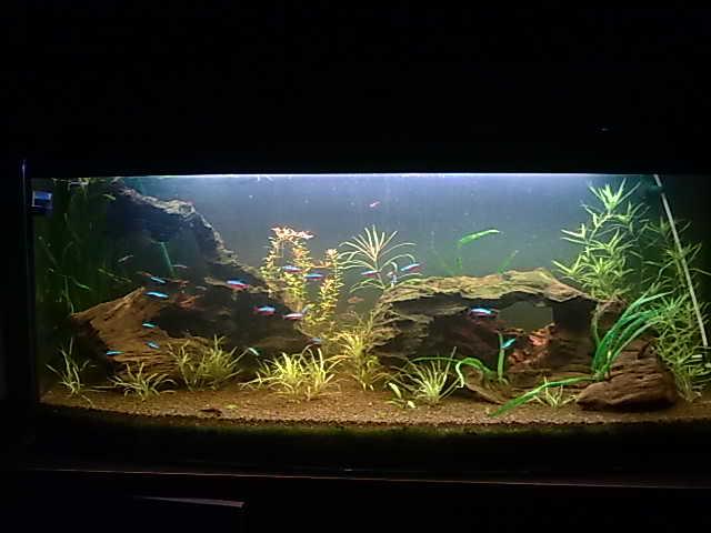 080220131325.jpg