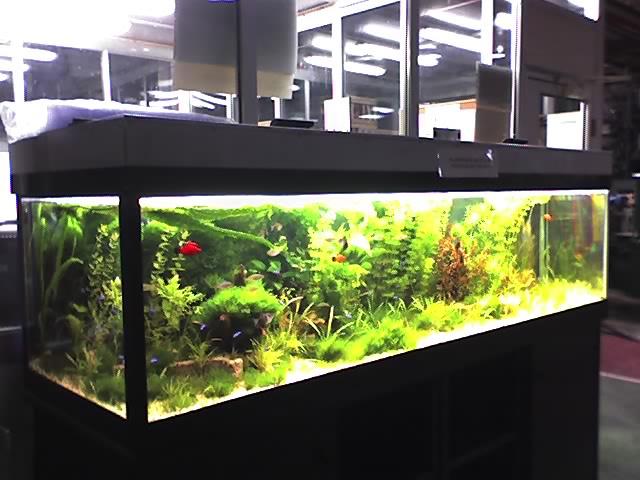 08-04-07_2021.jpg