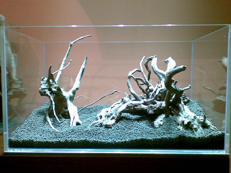09092010_1.jpg