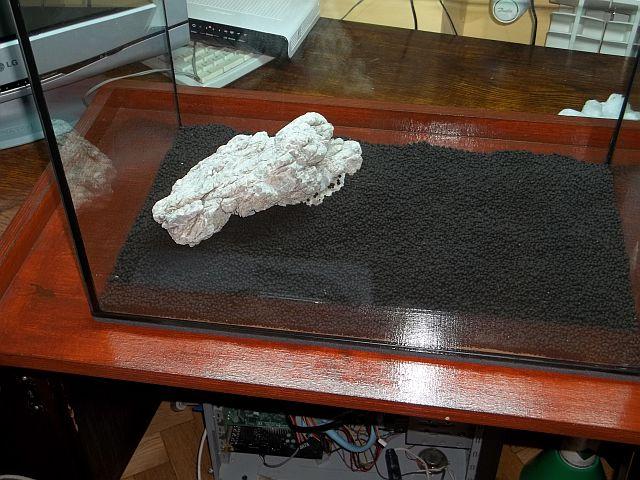 100_1107.JPG