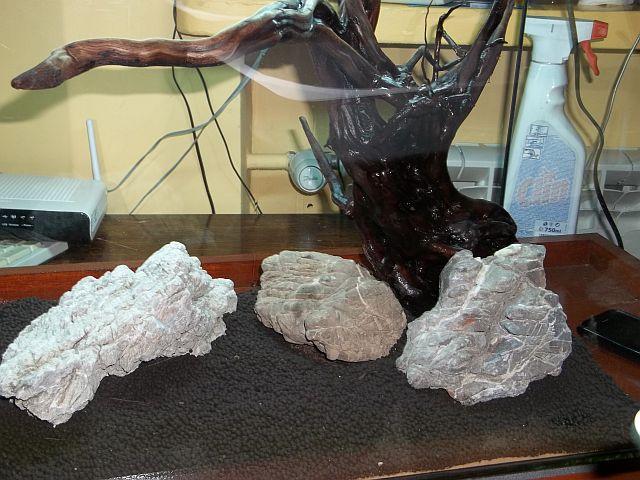100_1110.JPG