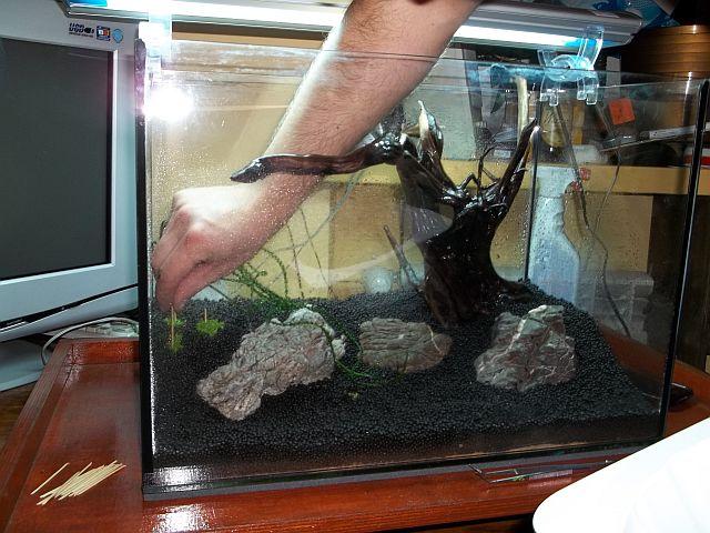 100_1118.JPG