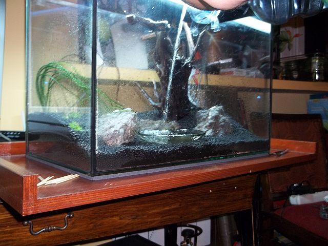 100_1119.JPG