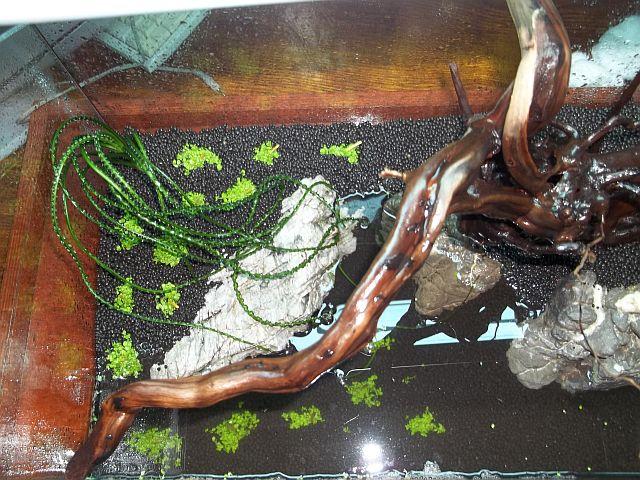 100_1120.JPG