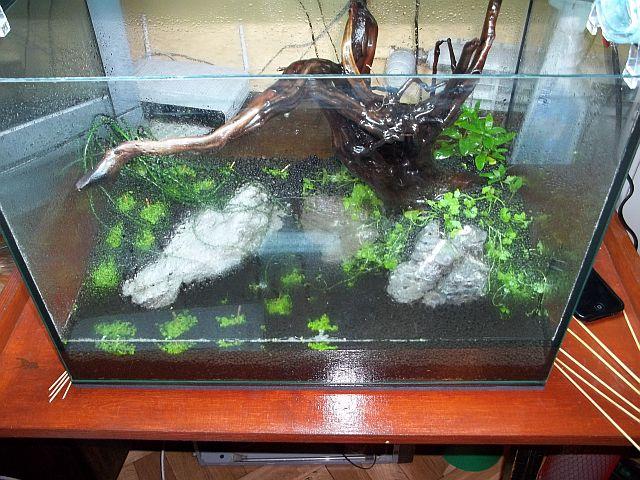100_1125.JPG