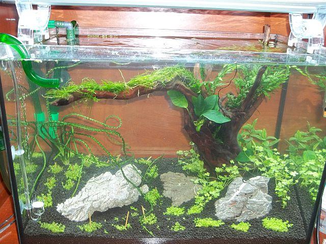 100_1135.JPG