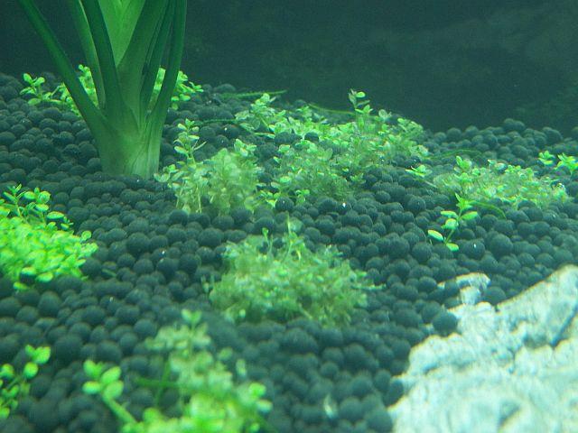 100_1139.JPG