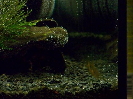 100_2115.JPG