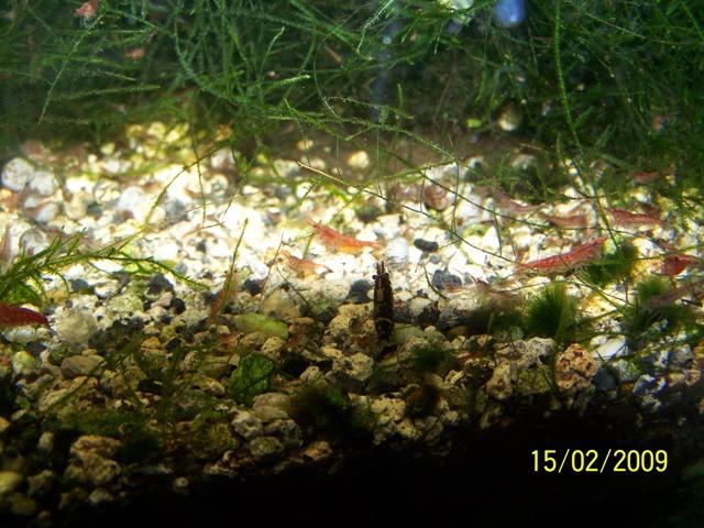 100_2119foto2.JPG