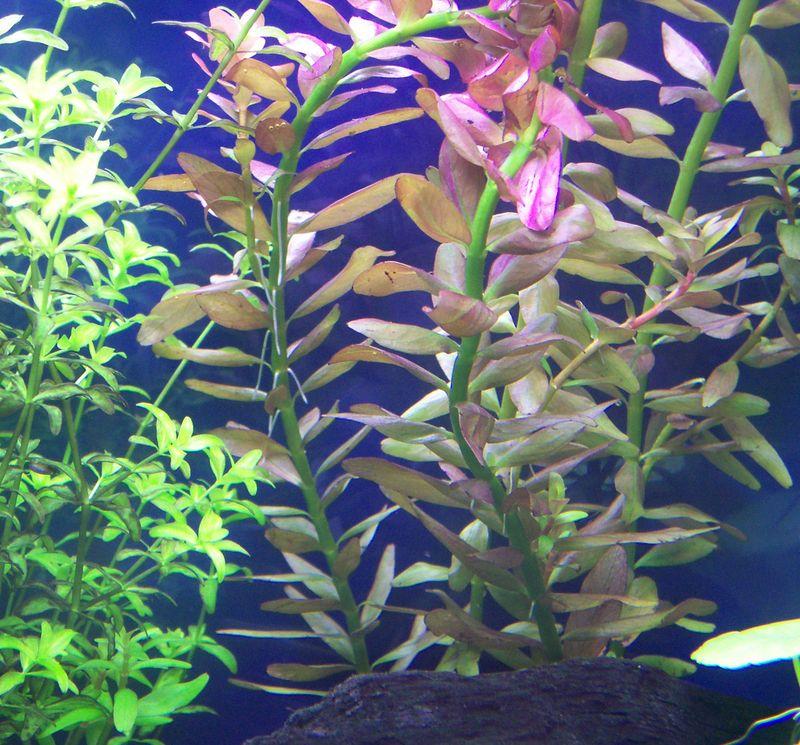 100_2945.jpg