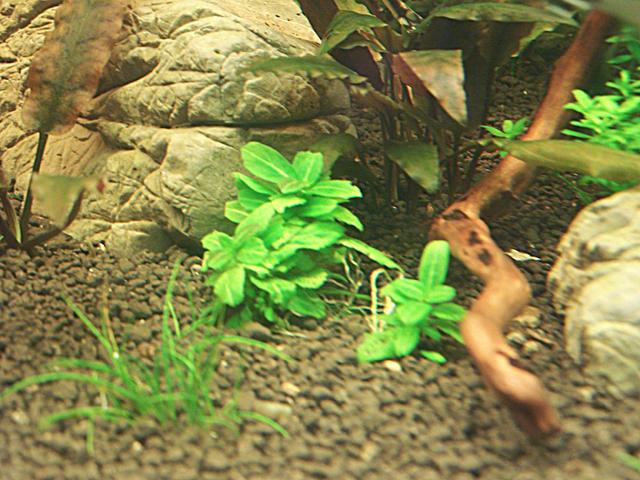 100_6670.jpg