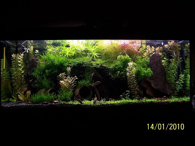 100_6907.JPG