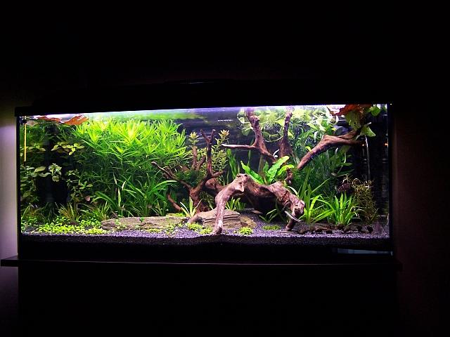 100_8146.JPG