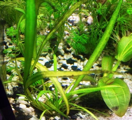 100_8934.JPG