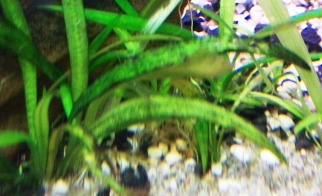 100_8935.JPG