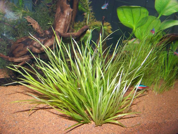 100_9803.JPG