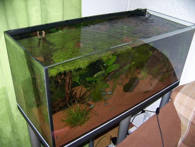 100_9808.JPG