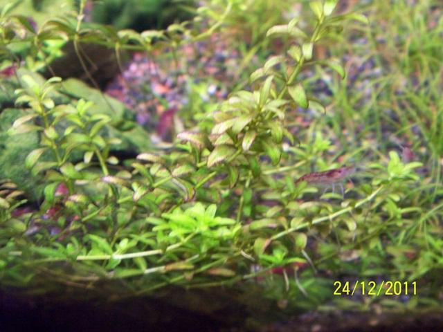 101_5294.JPG