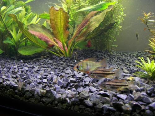 108_7443.JPG
