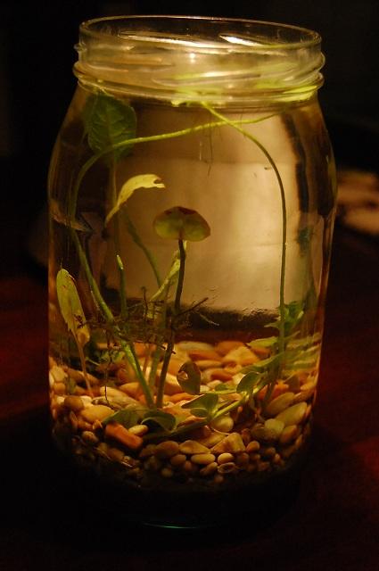 10-11-2011 (1)m.jpg