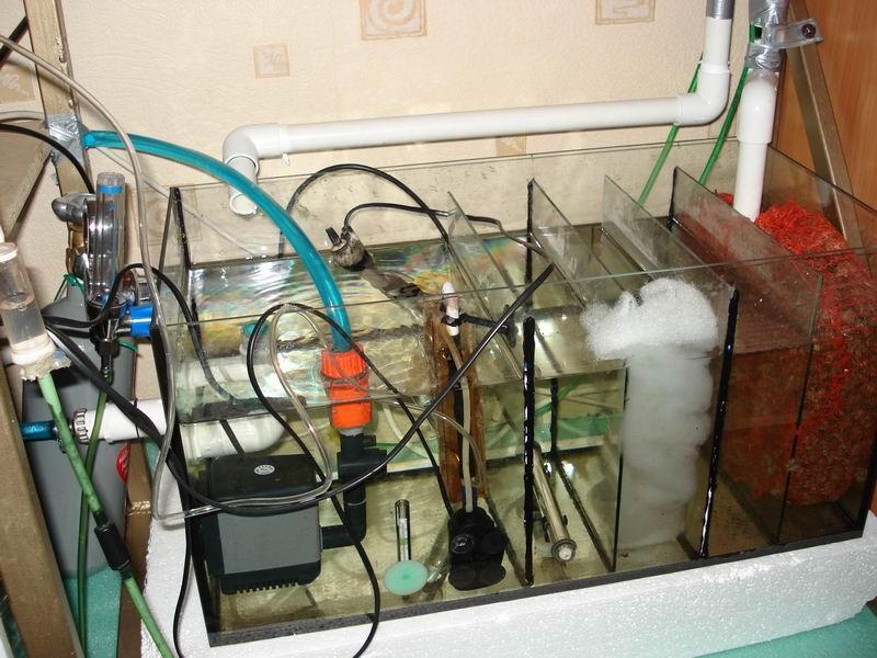 10-sump.JPG