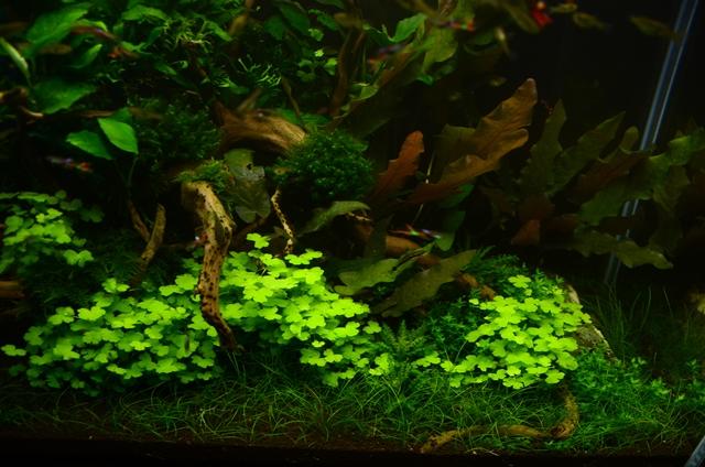 DSC_5370.JPG