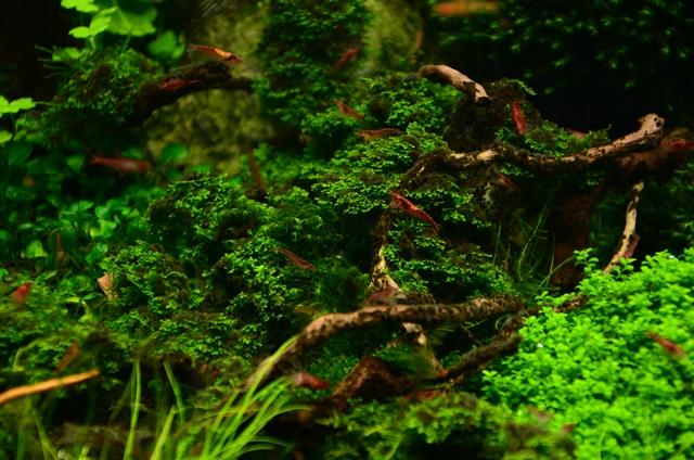 DSC_5413.JPG