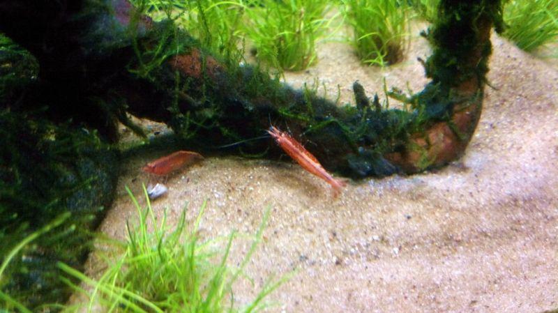 120520121275.jpg