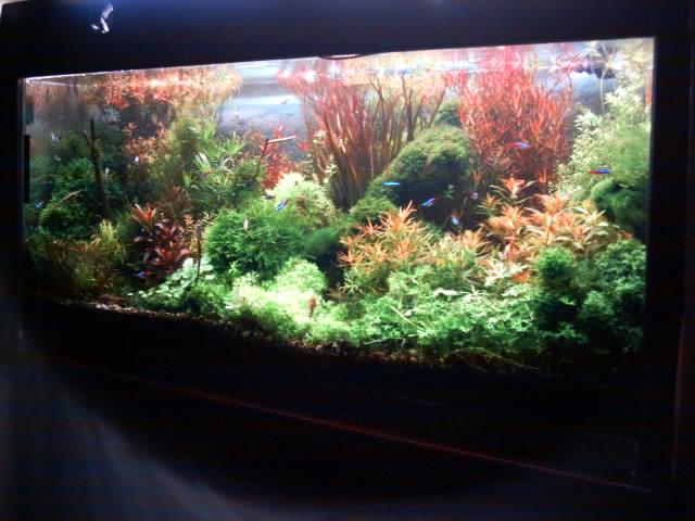 IMAG0007.JPG