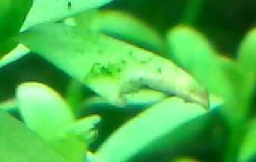 CAM00458.jpg