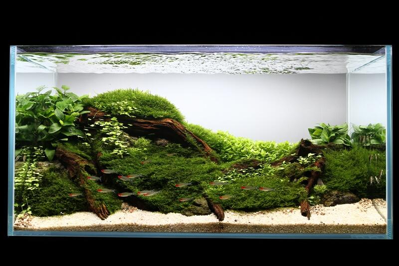 sesja wody full.jpg