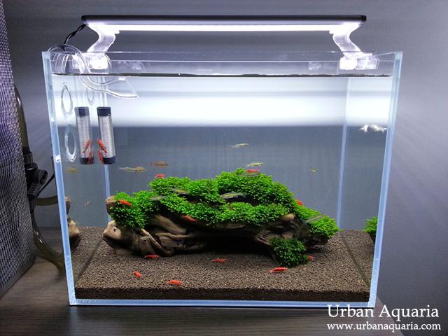 Urban Aquaria - 13 Litre Nano Tank - 04.jpg