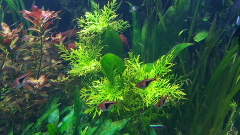 20151230_154357.jpg
