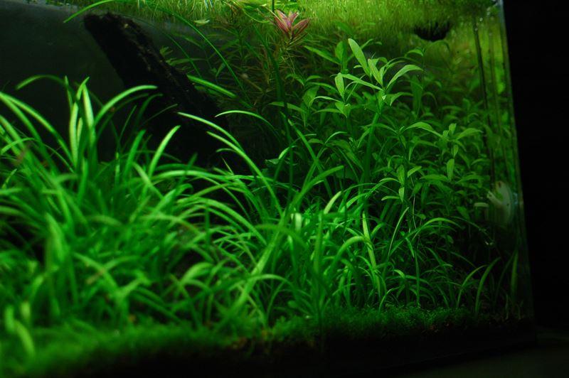 DSC_1558.JPG